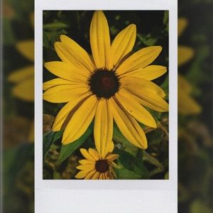 Meet your Posher, Lusjana